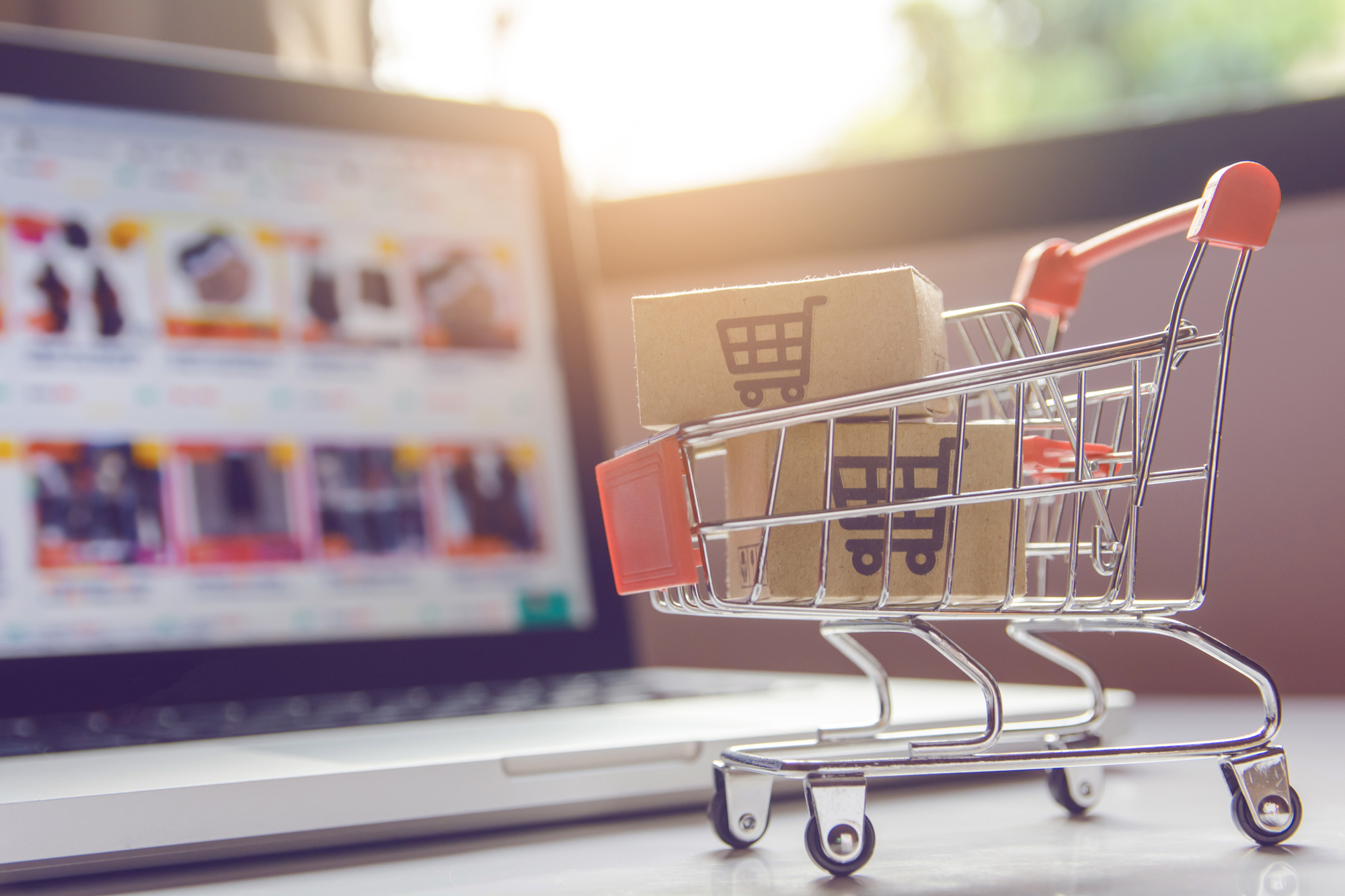 Onlineshop erstellen lassen